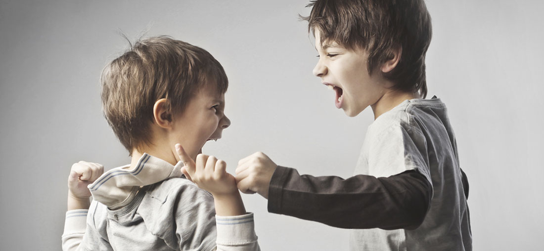 La agresividad en los niños